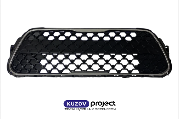 Решетка в бампер Kia Soul (SK3) 2018-2022 (Китай)